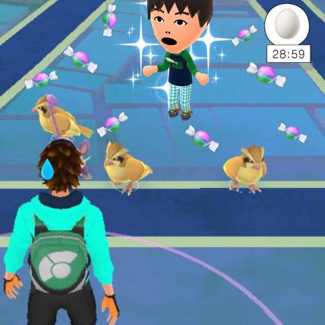 ポケモン ネタポケ