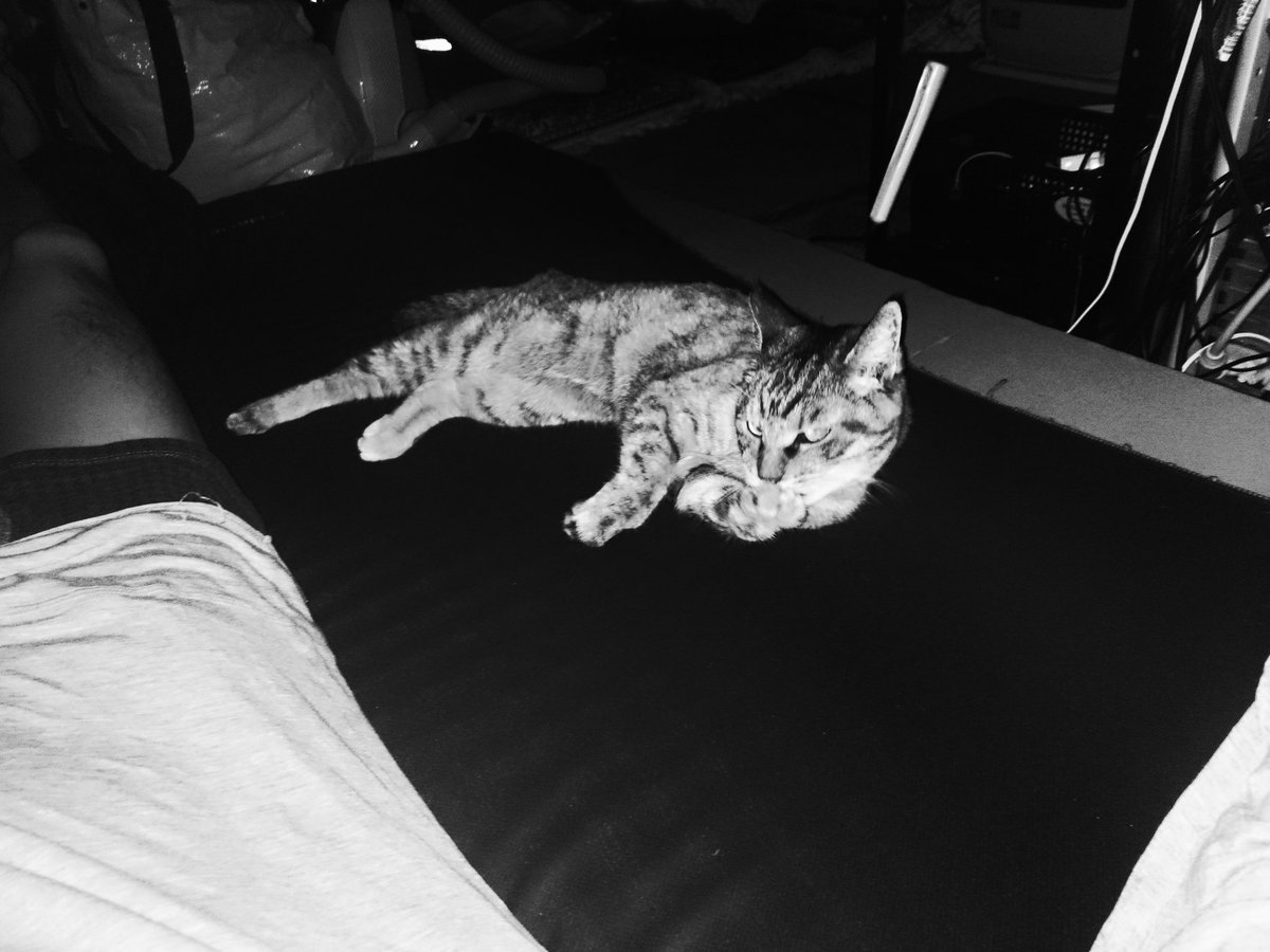 珍しくしずくちゃんが横で寝ている。おやすみなさい。 珍しくしずくちゃんが横で寝ている。おやすみなさい。