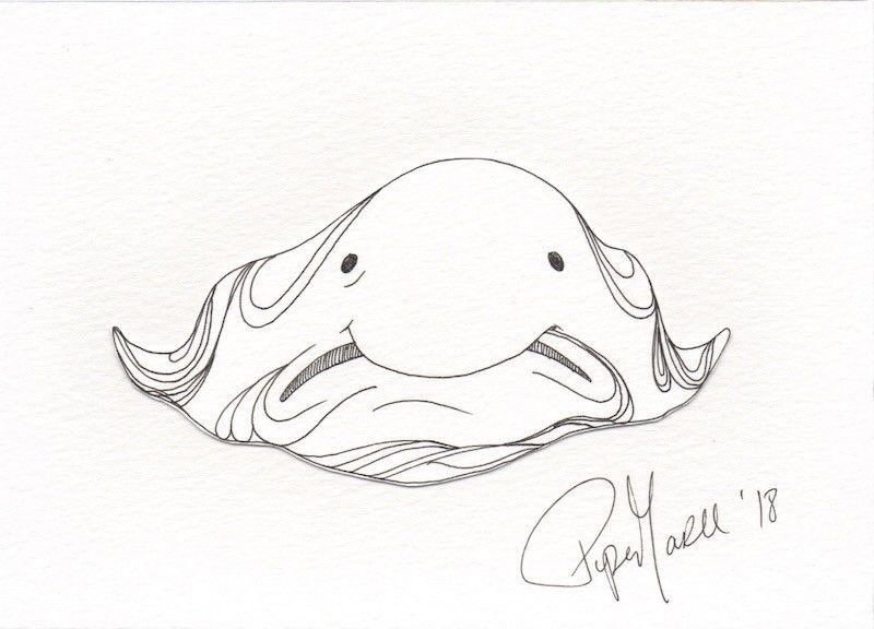 A blobfish masterpiece by Piper Maru! ???????????? 
@nfnetwork @Doodle4NF 
Bid here: https://t.co/l8QKtVmaQb https://t.co/SK2cglnSdO