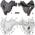 ふらぎ Afragi 2018年08月 Twilog