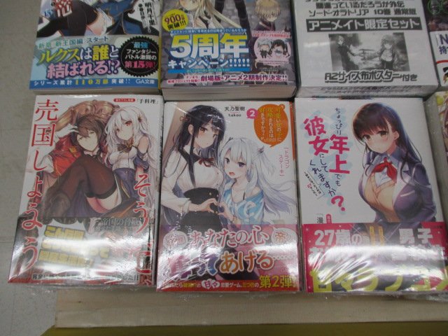 【新刊入荷情報】GA文庫「最弱無敗の神装機竜(15)」「天才王子の赤字国家再生術」「ちょっぴり年上でも彼女にしてくれます 【新刊入荷情報】GA文庫「最弱無敗の神装機竜(15)」「天才王子の赤字国家再生術」「ちょっぴり年上でも彼女にしてくれます