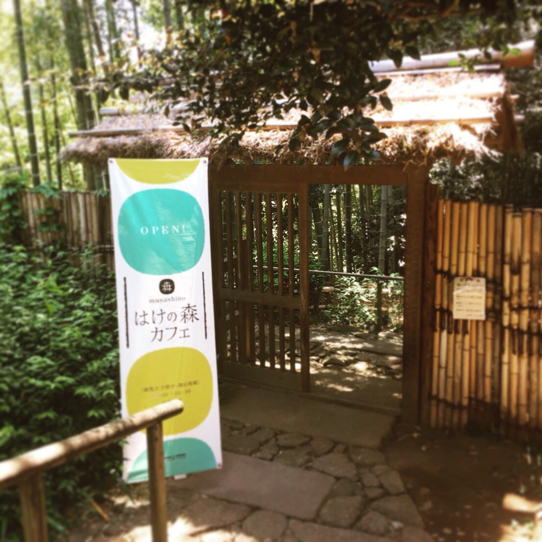 本日のご紹介は、小金井市は「はけの森美術館」併設の「はけの森カフェ」さんです。竹林を抜けると梅の木がお出迎え。洋画家の中 本日のご紹介は、小金井市は「はけの森美術館」併設の「はけの森カフェ」さんです。竹林を抜けると梅の木がお出迎え。洋画家の中