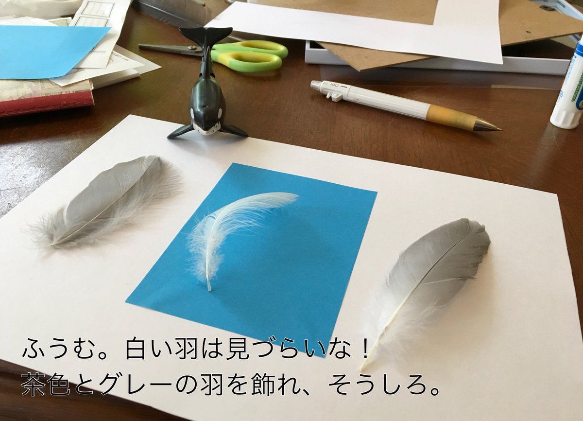 実は、私は貝の他に鳥の羽を拾うのも好きだ。鳥の羽は、道端や広い砂浜に落ちている。ひよこが標本にしたいというので、私は何と 実は、私は貝の他に鳥の羽を拾うのも好きだ。鳥の羽は、道端や広い砂浜に落ちている。ひよこが標本にしたいというので、私は何と