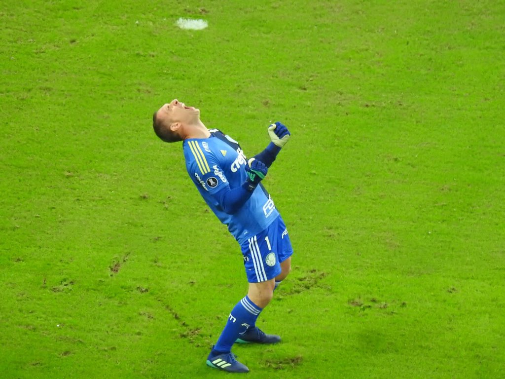 HOJE TEM PALMEIRAS