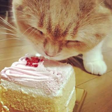 ちっちゃいさん、こんにちは(^-^)/お昼から、豪勢ですね(; ゚ ロ゚)お誕生日、おめでとうございます🎉✨😆✨🎊本日 ちっちゃいさん、こんにちは(^-^)/お昼から、豪勢ですね(; ゚ ロ゚)お誕生日、おめでとうございます🎉✨😆✨🎊本日