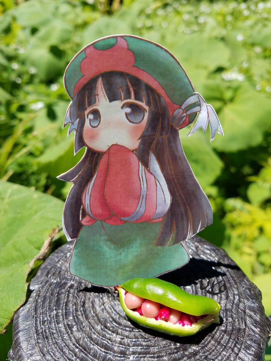 『ハクメイとミコチ 植物園の歩き方』at神代植物公園。初夏の緑と花を満喫しながら、ハクミコを探して歩きまわりました。ガイ 『ハクメイとミコチ 植物園の歩き方』at神代植物公園。初夏の緑と花を満喫しながら、ハクミコを探して歩きまわりました。ガイ