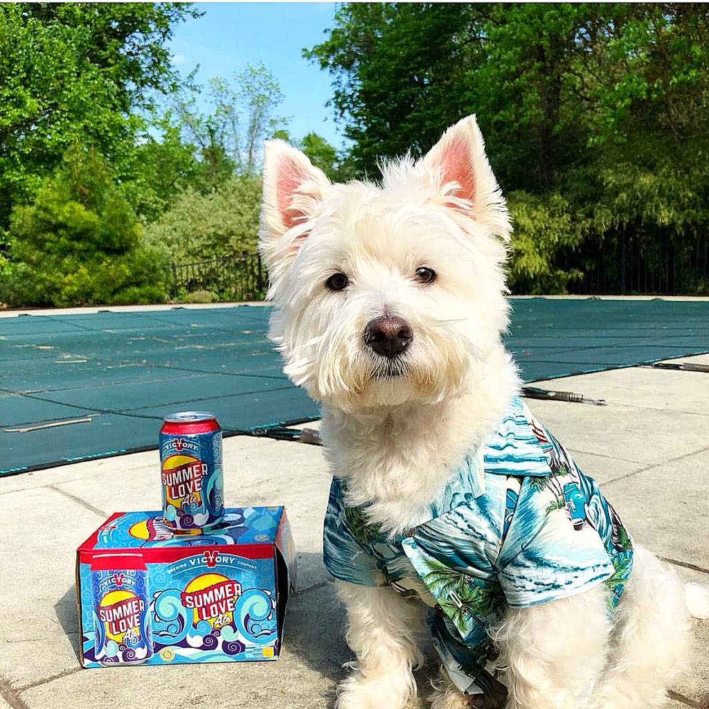 Dad Get The Pool Open My Lady Friends Are Coming Over For Some Dad Get The Pool Open My Lady Friends Are Coming Over For Some
