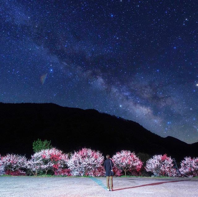 **お花見に行ってきました😄🌌🍡**#star #stars #starrysky #nightsky#星 #星空 #星 **お花見に行ってきました😄🌌🍡**#star #stars #starrysky #nightsky#星 #星空 #星