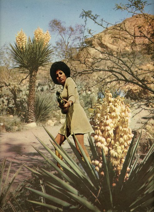 Pam Grier’s Birthday Celebration | HappyBday.to