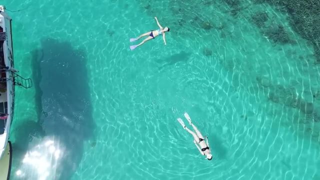 嘉鉄の海@奄美大島飛び込みの瞬間をドローンで撮影!海の底に影が映るほどの透明度!!! #奄美大島 #嘉鉄 #シュノーケリ 嘉鉄の海@奄美大島飛び込みの瞬間をドローンで撮影!海の底に影が映るほどの透明度!!! #奄美大島 #嘉鉄 #シュノーケリ