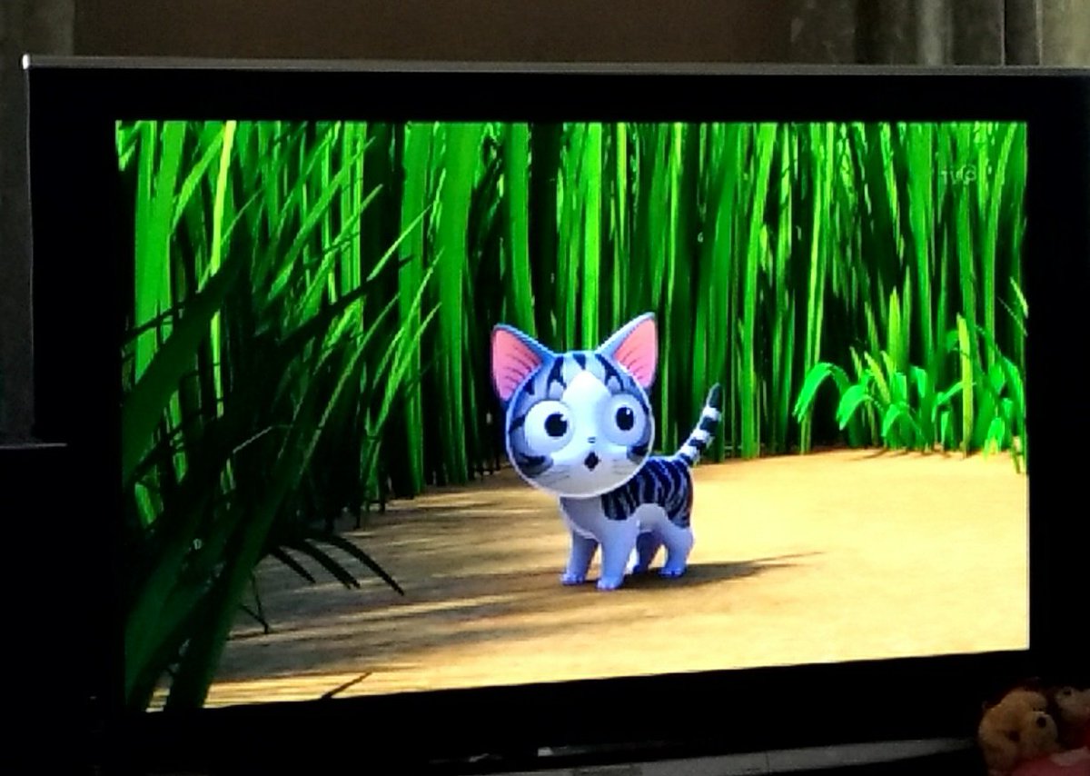 可愛過ぎてびっくりした #こねこのチー 可愛過ぎてびっくりした #こねこのチー