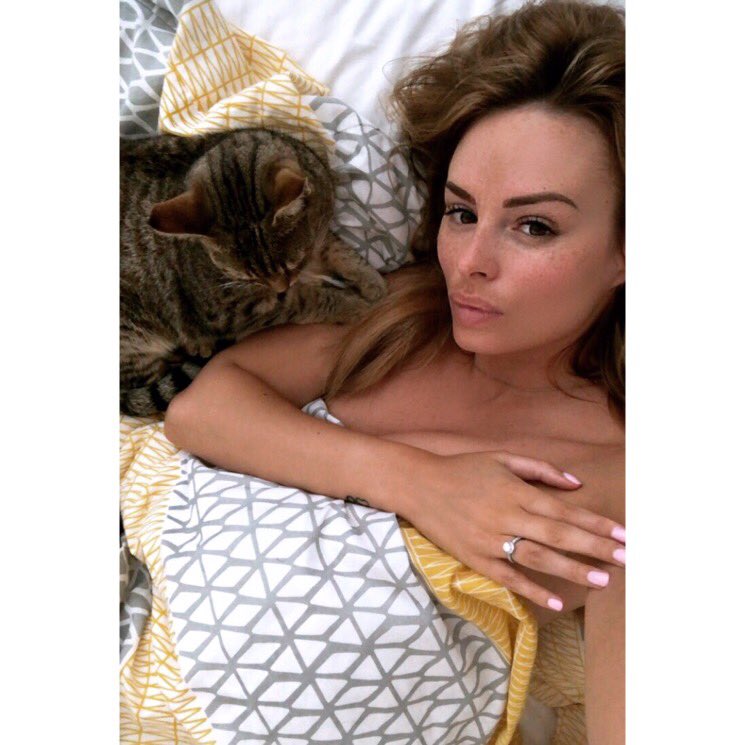 I think someone has missed me! ❤️ #PercyCat https://t.co/ESfe7fCQLA