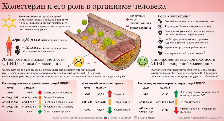 Диета Номер 10 При Холестерине