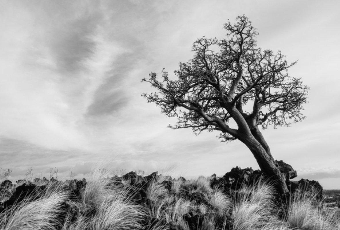 Calling all nature photographers: https://t.co/DHKBMGAVor https://t.co/QV0nUns0A4