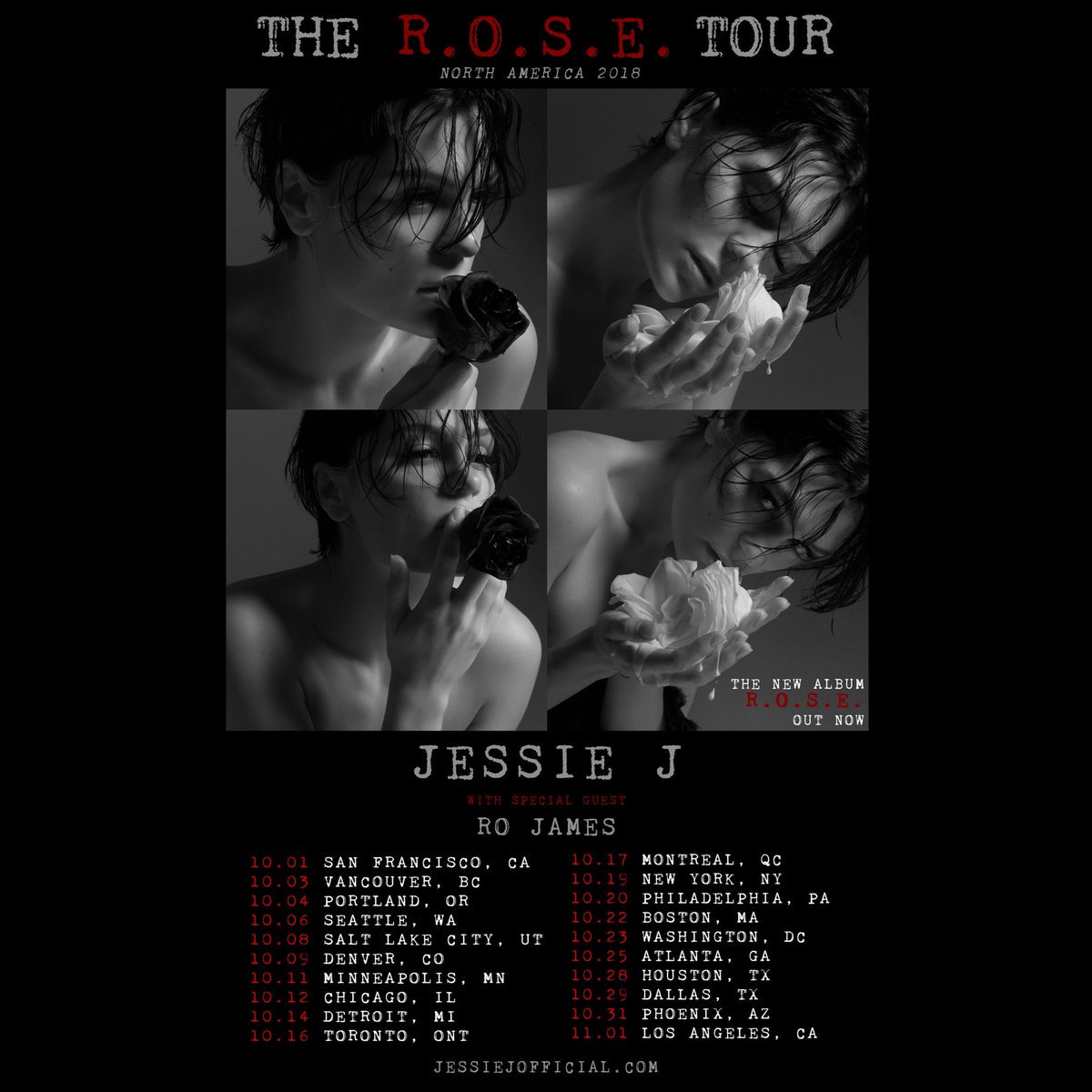 RT @UMG: #ICYMI - @JessieJ is hitting the road on THE R.O.S.E. TOUR! Tickets on sale tomorrow at 10 a.m. https://t.co/2fkelzHAJ7