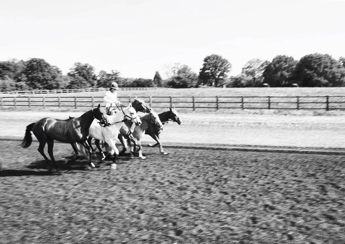 polo pony training #coworthpark #tbt ???? me @CoworthParkUK https://t.co/9n1VK2hFGA