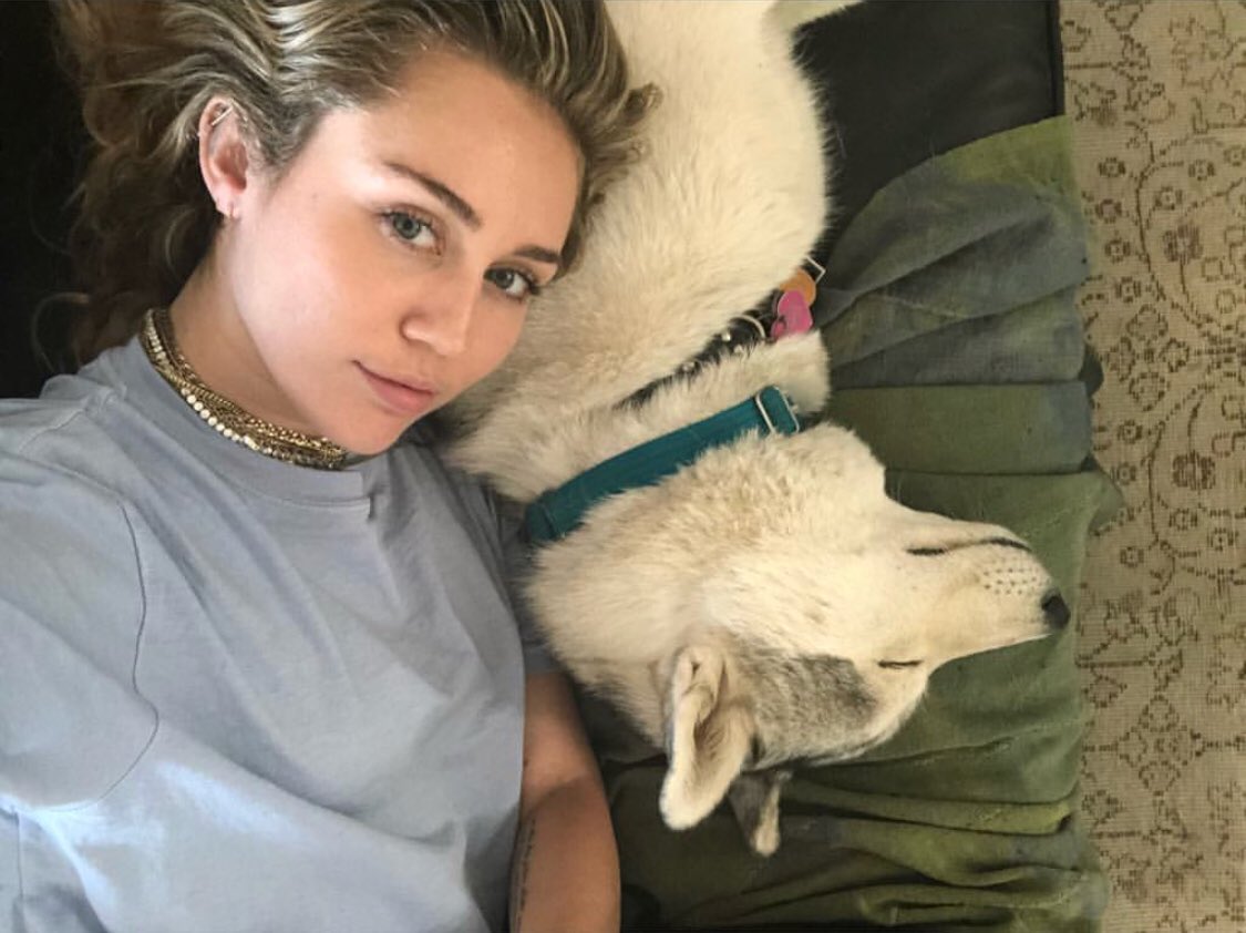 Like nappin with floyd ???? https://t.co/O5dpgyU3sw