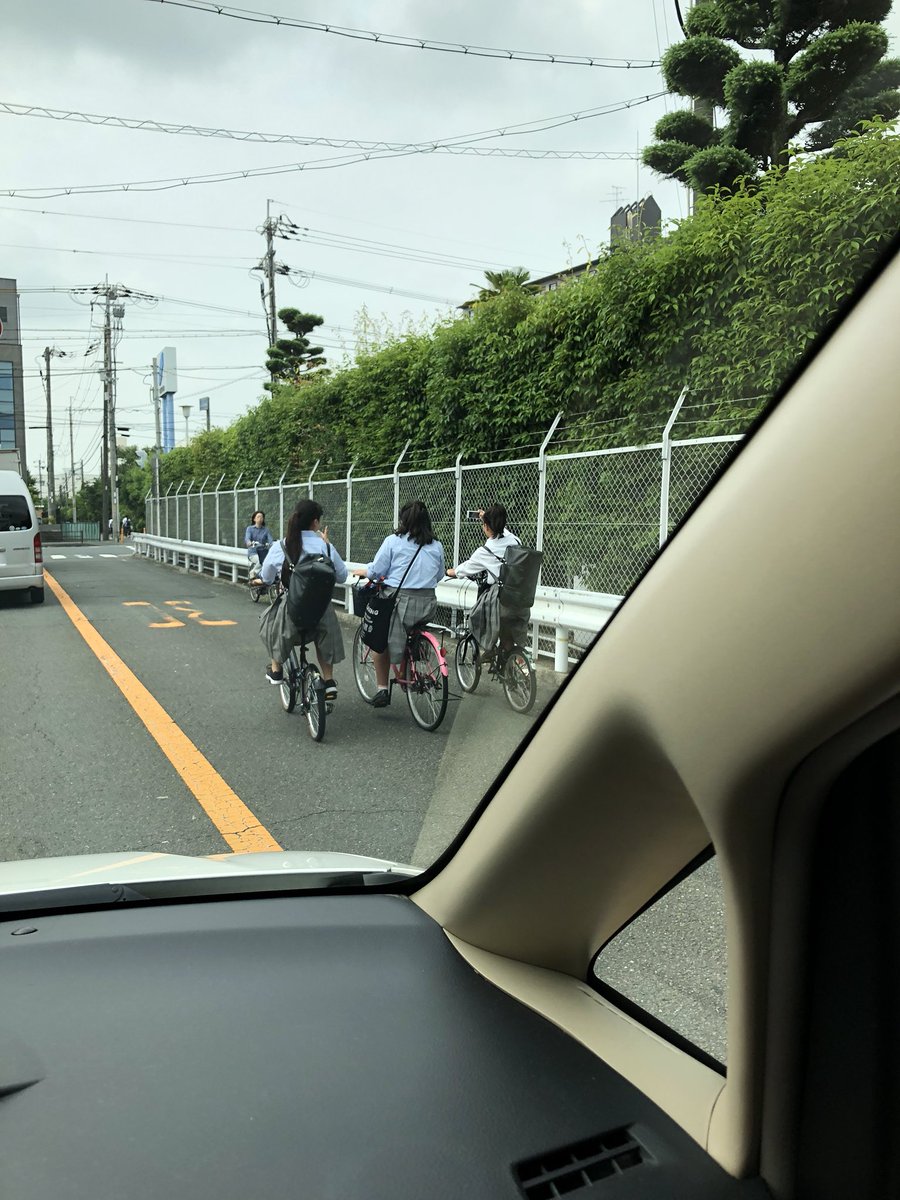 ワーキャー 路肩 見覚え カラス 対向車に関連した画像-02