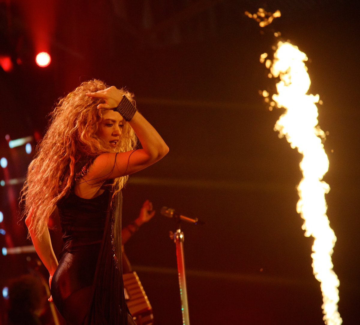 Thank you Amsterdam! You were ????! Shak https://t.co/N0z96xYPjY