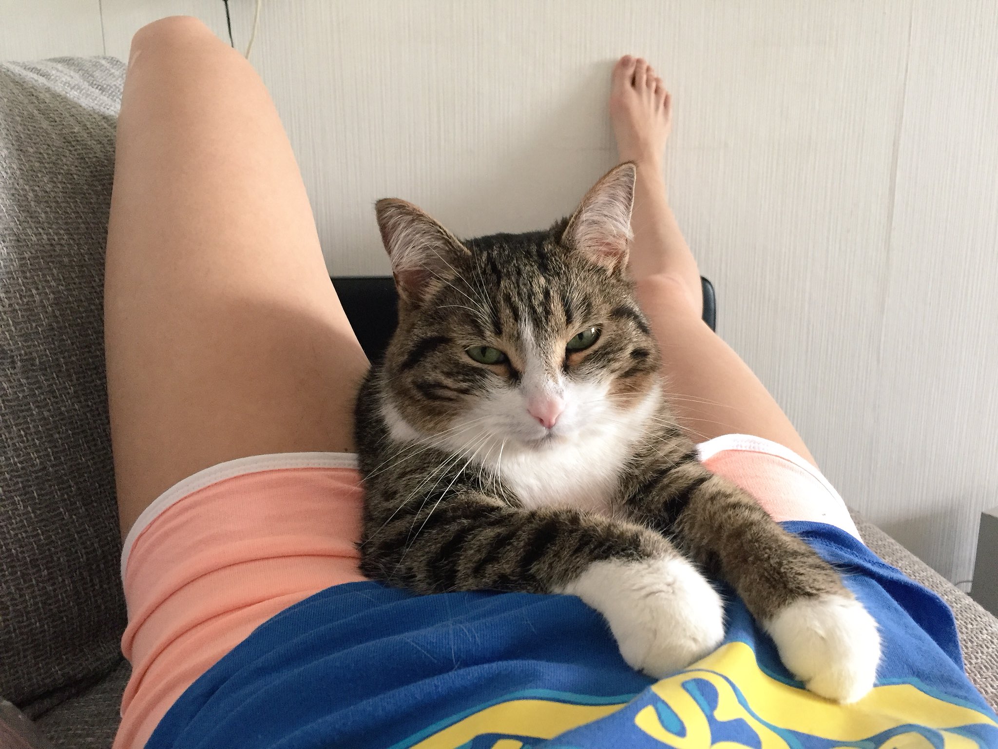 Киска