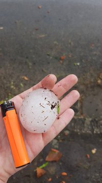 Посмотреть изображение в Твиттере