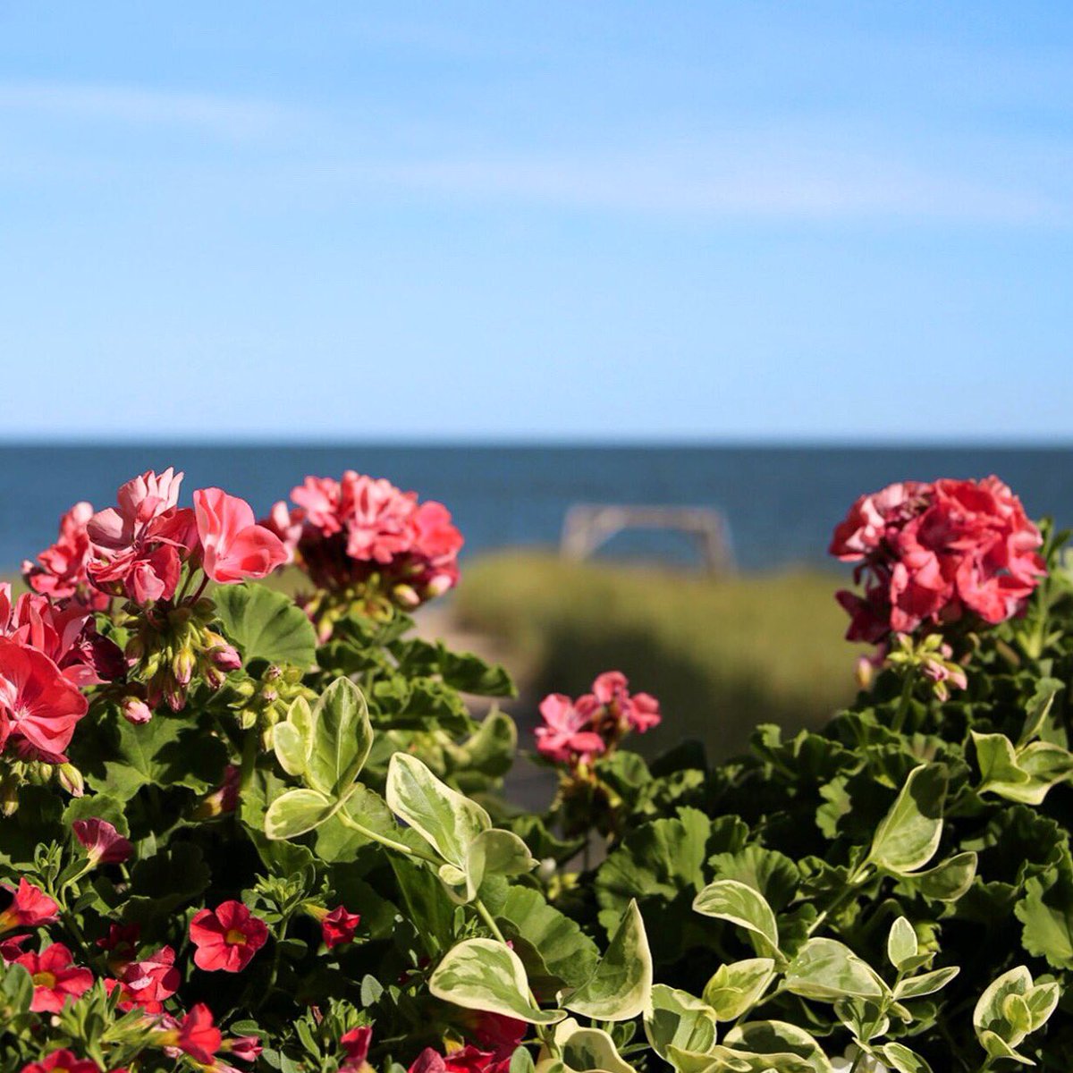 #LakeMichigan https://t.co/AyMQN8zdD8