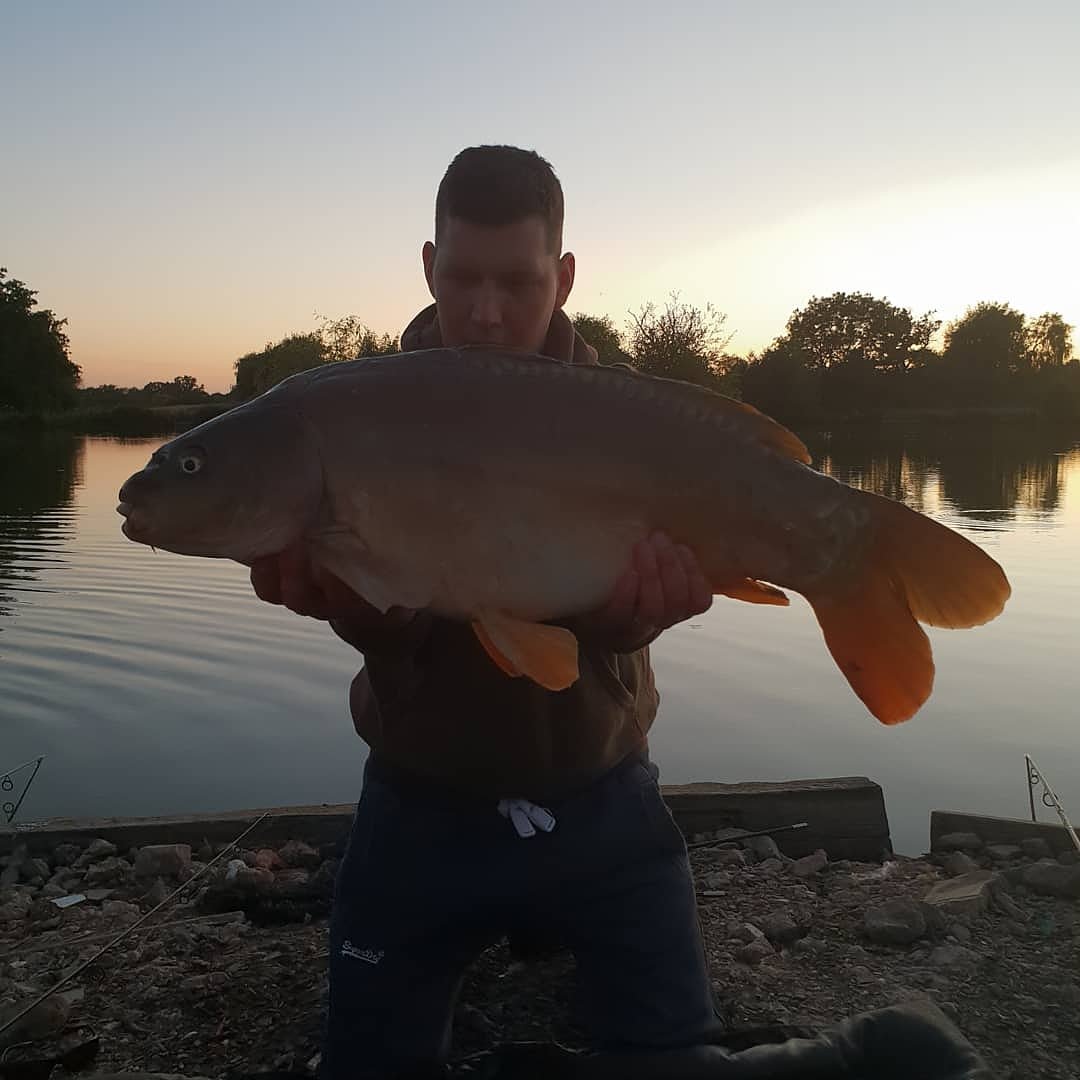 Nice <b>20lb</b> mirror from honypot lakes caught on the new mainline bait the link 🎣
#mainline #