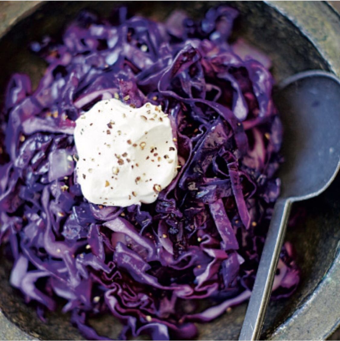 Fried Purple Cabbage with Cold Creamy Goat Cheese - who doesn’t love contrasting temperatures ???? https://t.co/hKu2pc21wX