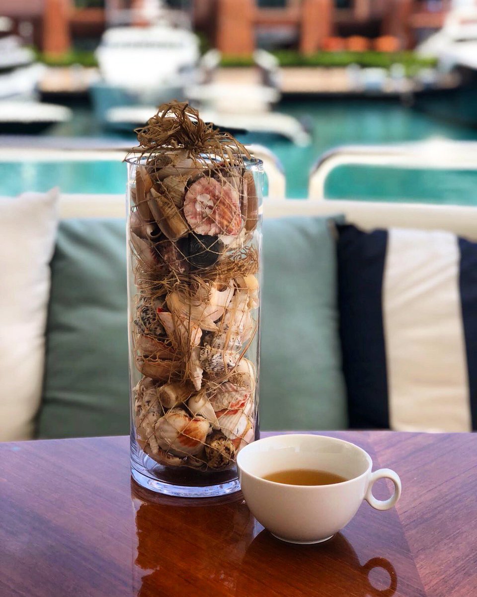 Morning tea in Paradise! ????☀️ https://t.co/Vj7mVc7C1v