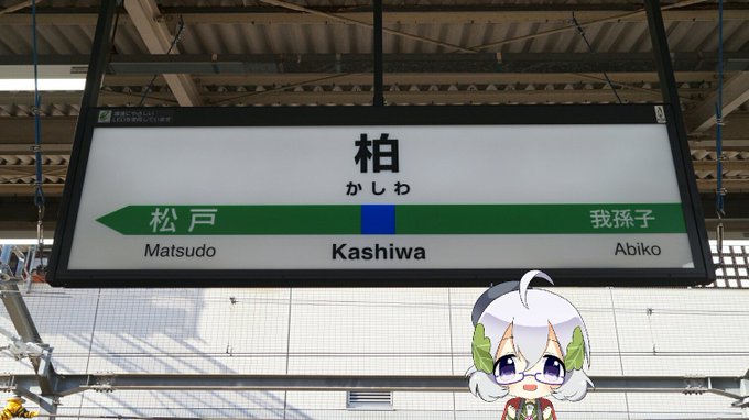 #完全に一致では無いのだが何となく似てるビッカメ娘の柏たんとゆるゆりの千歳 #完全に一致では無いのだが何となく似てるビッカメ娘の柏たんとゆるゆりの千歳