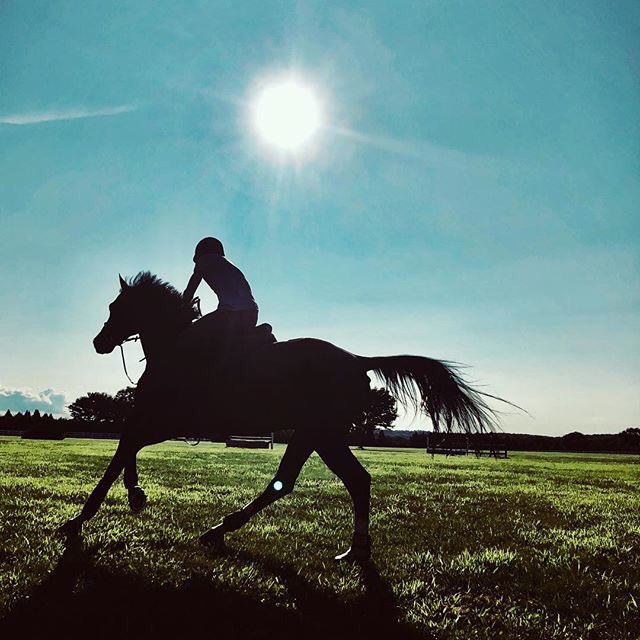 The Son in the Sun! ☀️☀️☀️???? #banda #clever #mothernature https://t.co/SM3vAhIcrk