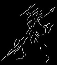 適合者にしか分からないオールアウト連発してくるやべー奴の前衛的アート。おらッ! 力の真結晶出せッ!#シンフォギアXD 適合者にしか分からないオールアウト連発してくるやべー奴の前衛的アート。おらッ! 力の真結晶出せッ!#シンフォギアXD