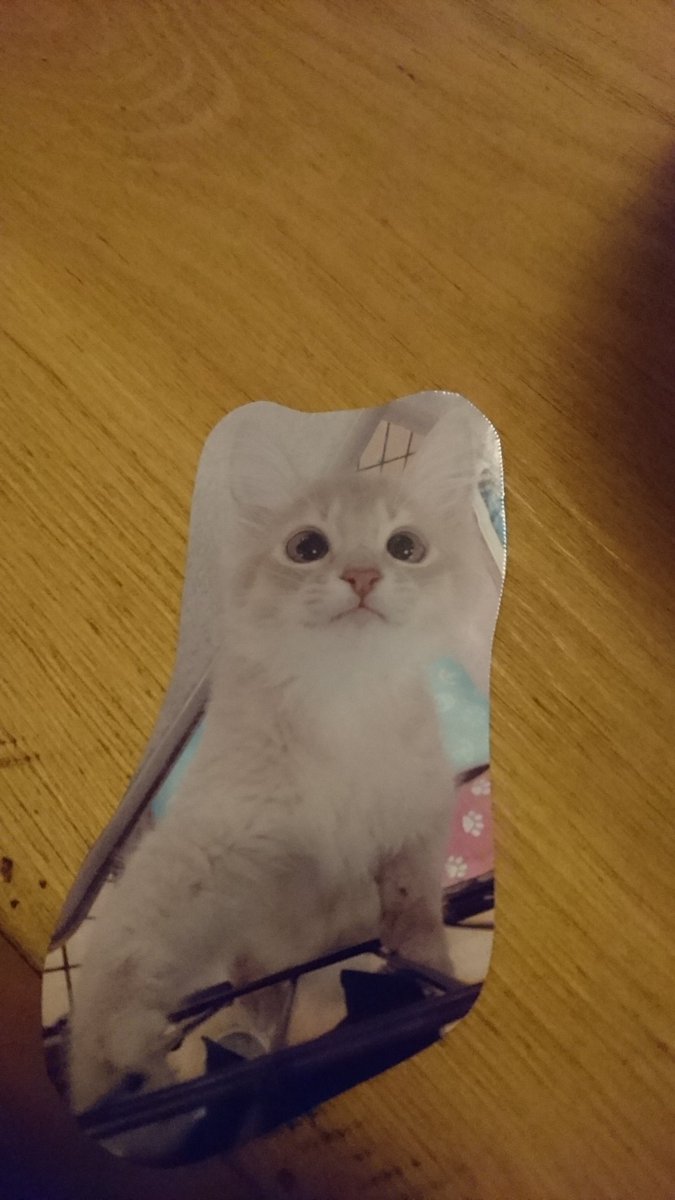 ねこのなまえはルル子です ねこのなまえはルル子です