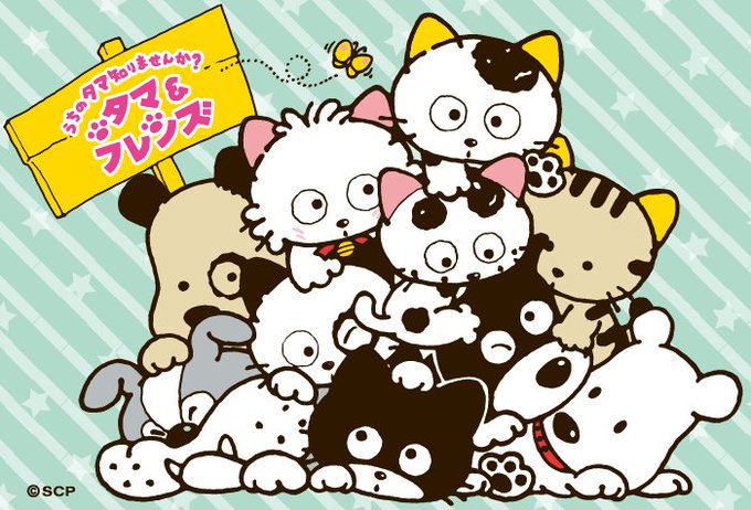 気の置けない仲間って、いいよね。#うちのタマ知りませんか #タマアンドフレンズ 気の置けない仲間って、いいよね。#うちのタマ知りませんか #タマアンドフレンズ