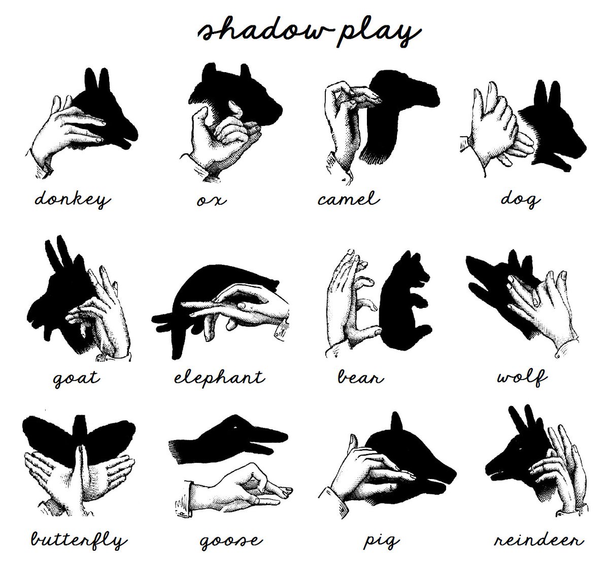 Useful how-to guide for shadow puppets..  https://t.co/5VCqABSJzB https://t.co/yE5alrXnSn