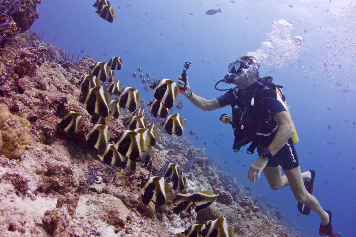 Awesome dive! @kandolhu @OK_Magazine https://t.co/dGNHaK5bhO