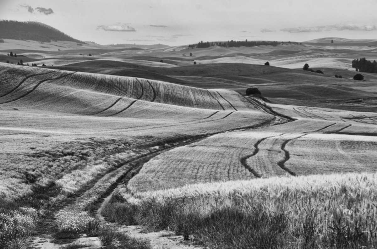 Take a black and white photo with no people (and with no explanation) — add your pics here: https://t.co/2FNWpRDAyS https://t.co/fqOT1RqcW4