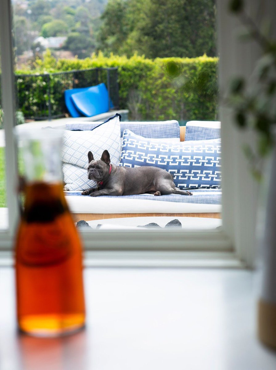 I was making sweet tea and then got distracted by this view!  ???? #ISpy #PepperPoses #WhiskeyInATeacup https://t.co/PQy8I3OK3x