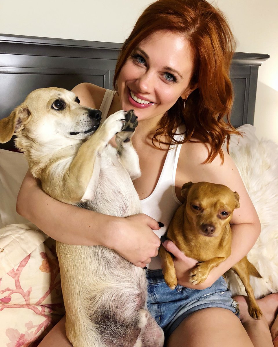 Had to celebrate #nationaldogday with these two... But they didn’t want to look at the camera ???????????? https://t.co/NizVFXUFpi