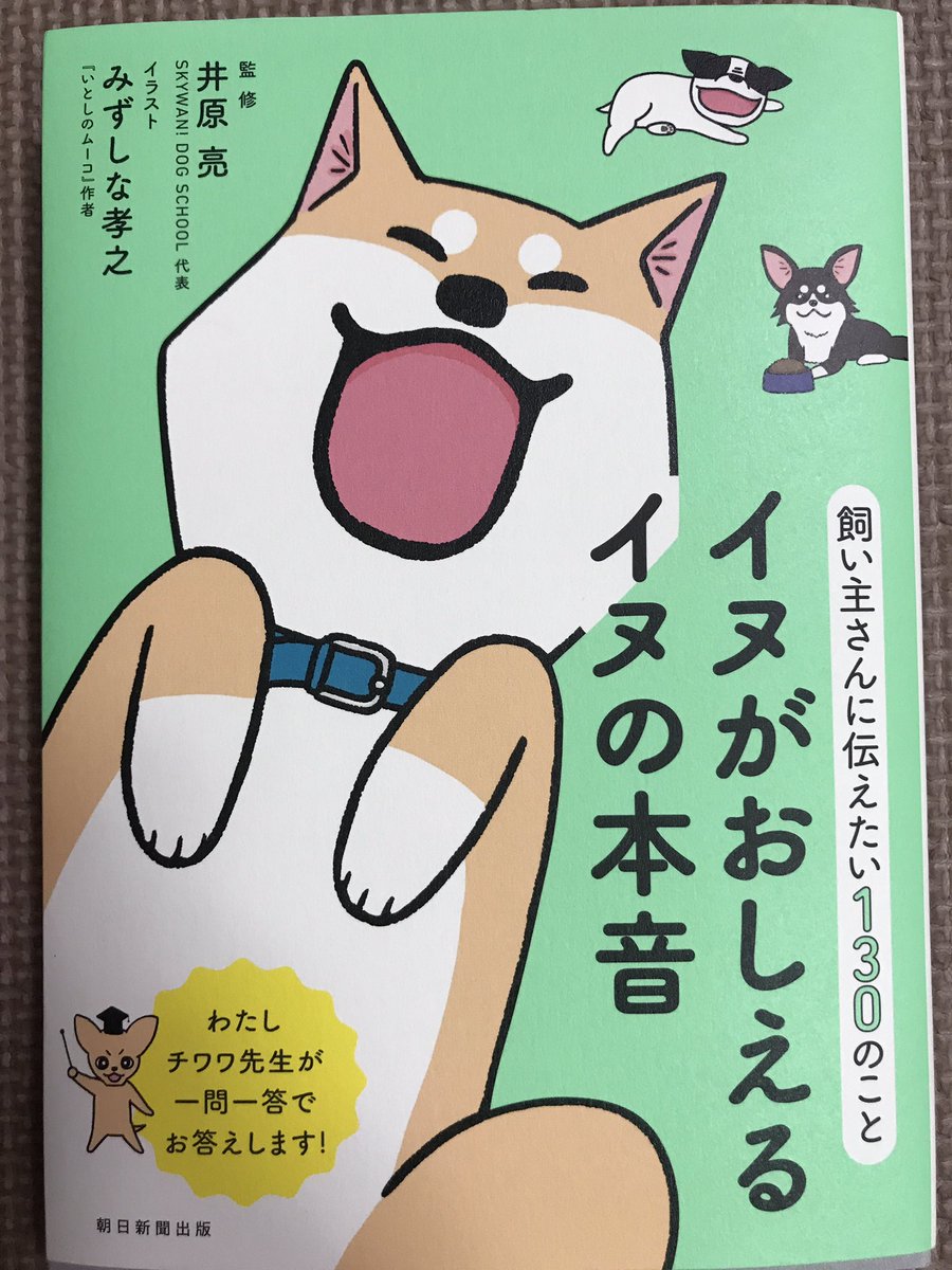 #みずしな孝之先生#いとしのムーコ#イヌが教えるイヌの本音数日前に 用事があり 上大岡の京急百貨店に行きましたが、あれ? #みずしな孝之先生#いとしのムーコ#イヌが教えるイヌの本音数日前に 用事があり 上大岡の京急百貨店に行きましたが、あれ?