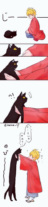 長い、長い猫🐈(自分でも何を考えているのかわからない_(:3 #不機嫌なモノノケ庵 長い、長い猫🐈(自分でも何を考えているのかわからない_(:3 #不機嫌なモノノケ庵
