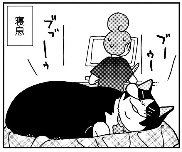 お待たせしました~!今月もお楽しみください、ねこっぱち名物「猫さまと私」UP完了❣️秋本尚美先生の連載、今月は《さなちゃ お待たせしました~!今月もお楽しみください、ねこっぱち名物「猫さまと私」UP完了❣️秋本尚美先生の連載、今月は《さなちゃ