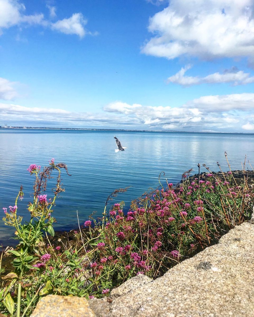 Monkstown
