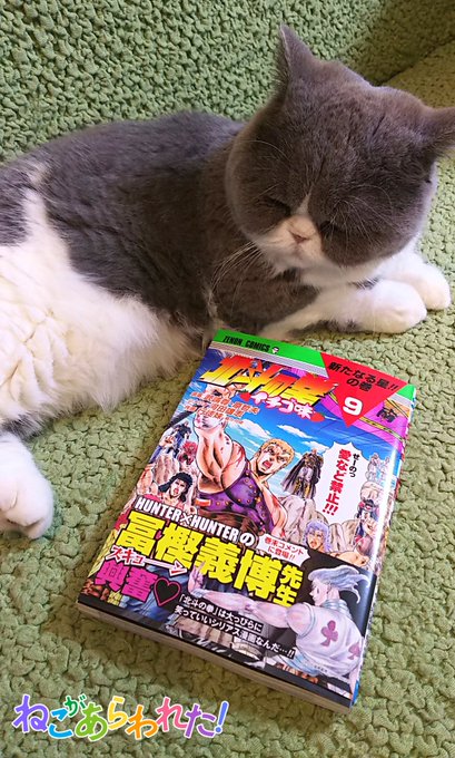 バタバタしていて久々の更新となりましたが、明日9月20日『北斗の拳イチゴ味 9巻』『北斗の拳BBQ味』発売です!よろしく バタバタしていて久々の更新となりましたが、明日9月20日『北斗の拳イチゴ味 9巻』『北斗の拳BBQ味』発売です!よろしく