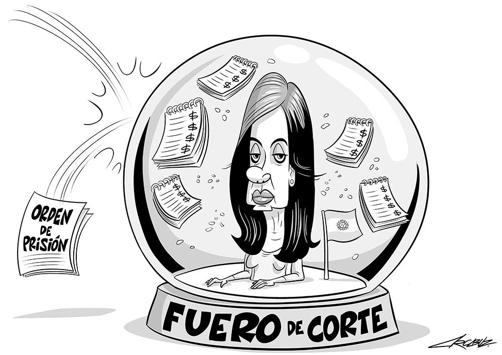 Resultado de imagen para CARICATURAS DE CRISTINA