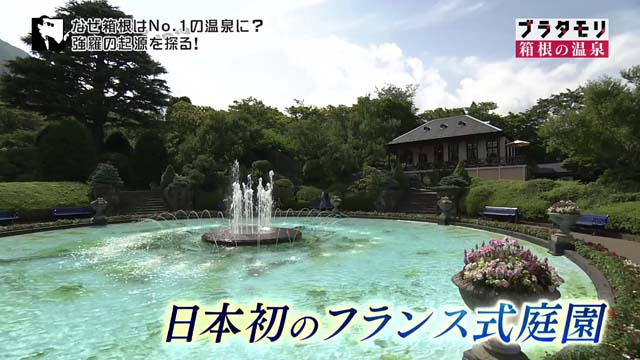 強羅公園 #ブラタモリ #ハコネちゃん 強羅公園 #ブラタモリ #ハコネちゃん