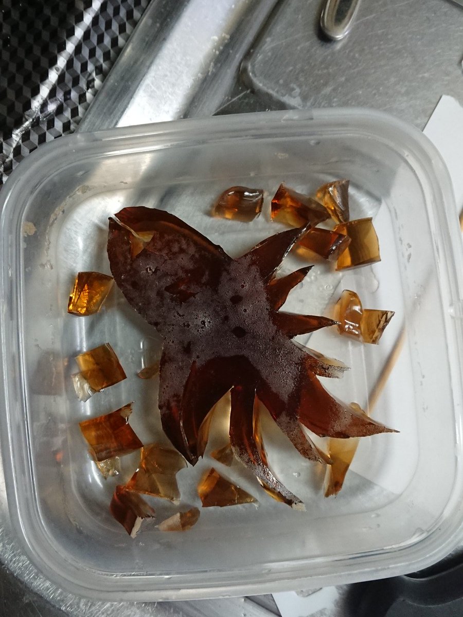 影鰐本体でけた((o(^∇^)o)) 影鰐本体でけた((o(^∇^)o))