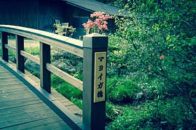 先生は「迷い家(マヨイガ)」に養生をしに行っていたのかも知れませんね。迷い家に行って、穢れを落としお茶でもすすって帰 先生は「迷い家(マヨイガ)」に養生をしに行っていたのかも知れませんね。迷い家に行って、穢れを落としお茶でもすすって帰