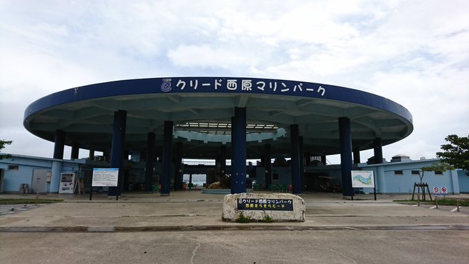 はるかなレシーブ!アニメ最終回しましたね!実は私くーにーの地元沖縄が舞台のこの作品、はるかやかなた、トーマス姉妹が試合を はるかなレシーブ!アニメ最終回しましたね!実は私くーにーの地元沖縄が舞台のこの作品、はるかやかなた、トーマス姉妹が試合を