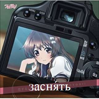 заснять : 撮影する / 写真をとるфотографировать : 撮影する / 写真をとるфотограф заснять : 撮影する / 写真をとるфотографировать : 撮影する / 写真をとるфотограф